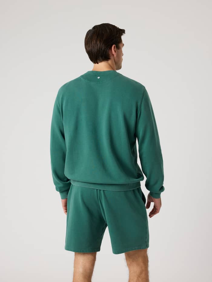 Achteraanzicht van een man in de regular fit Borg Classic Print Sweatshirt in Mallard Green (Groen) met tennisbalprint. - Image 3