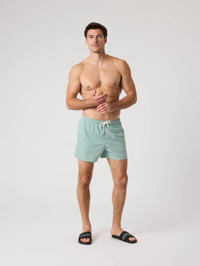 Groen en wit gestreepte Borg Print Swim Shorts in vooraanzicht met een functioneel trekkoord in de taille. - Image 3