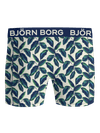 Image title missing