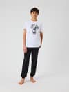 Image title missing