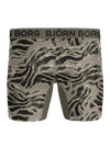 Image title missing