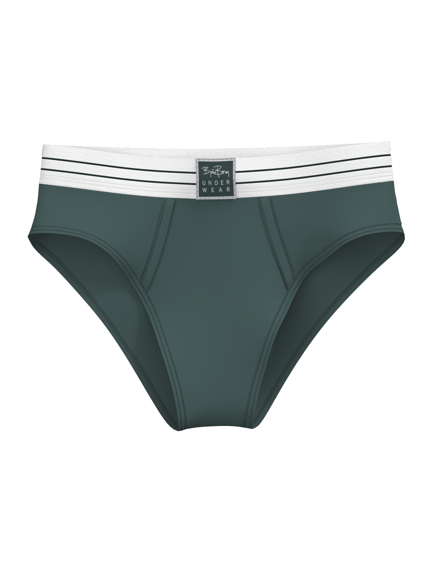 Green Original Briefs 2-pack in cotton stretch with a striped waistband, high-waisted fit, and black logo patch. - Image 2