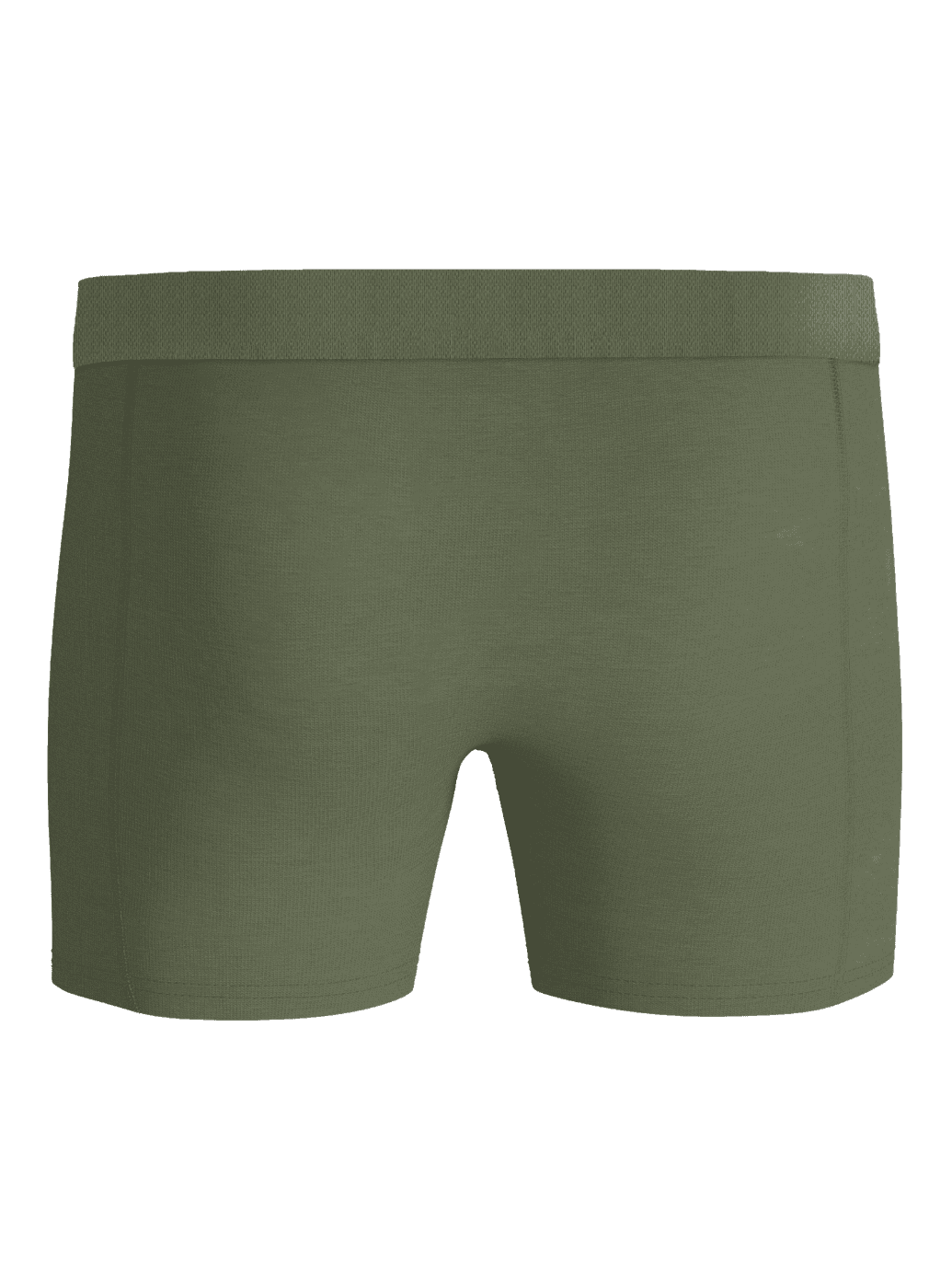Organic Cotton Stretch Boxers 5-pack in Green, shown from the back to highlight the comfortable boxer briefs fit. - Image 3
