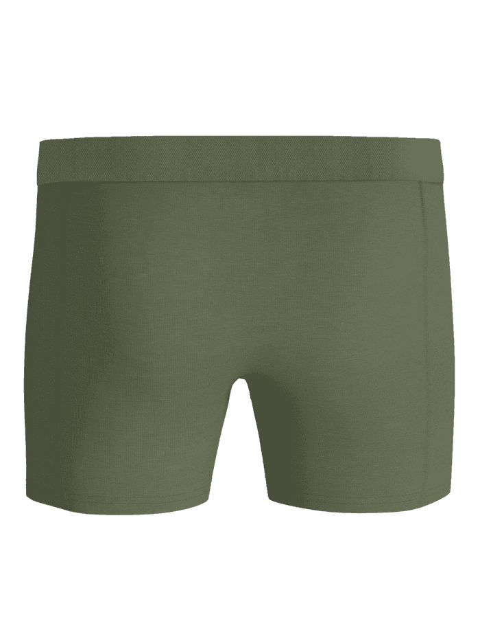 Organic Cotton Stretch Boxers 5-pack in Groen, achteraanzicht voor de comfortabele boxer briefs-pasvorm. - Image 3