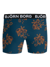Image title missing
