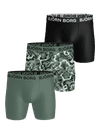 Image title missing