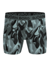 Image title missing