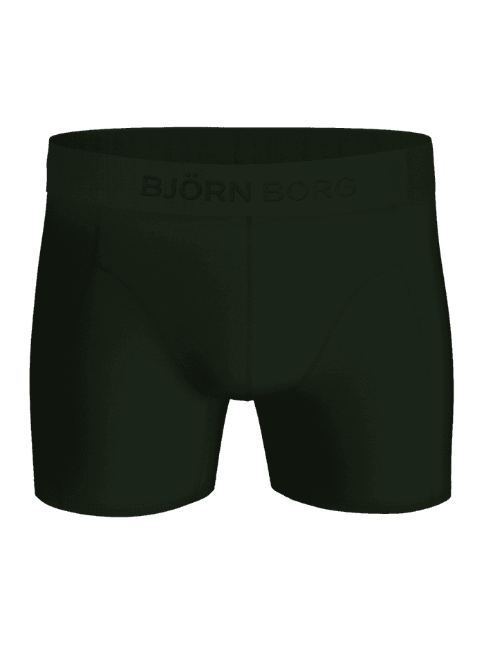 Front view of the dark green Premium Silk Modal Boxer Briefs 2-pack featuring the elastic waistband with the brand logo.