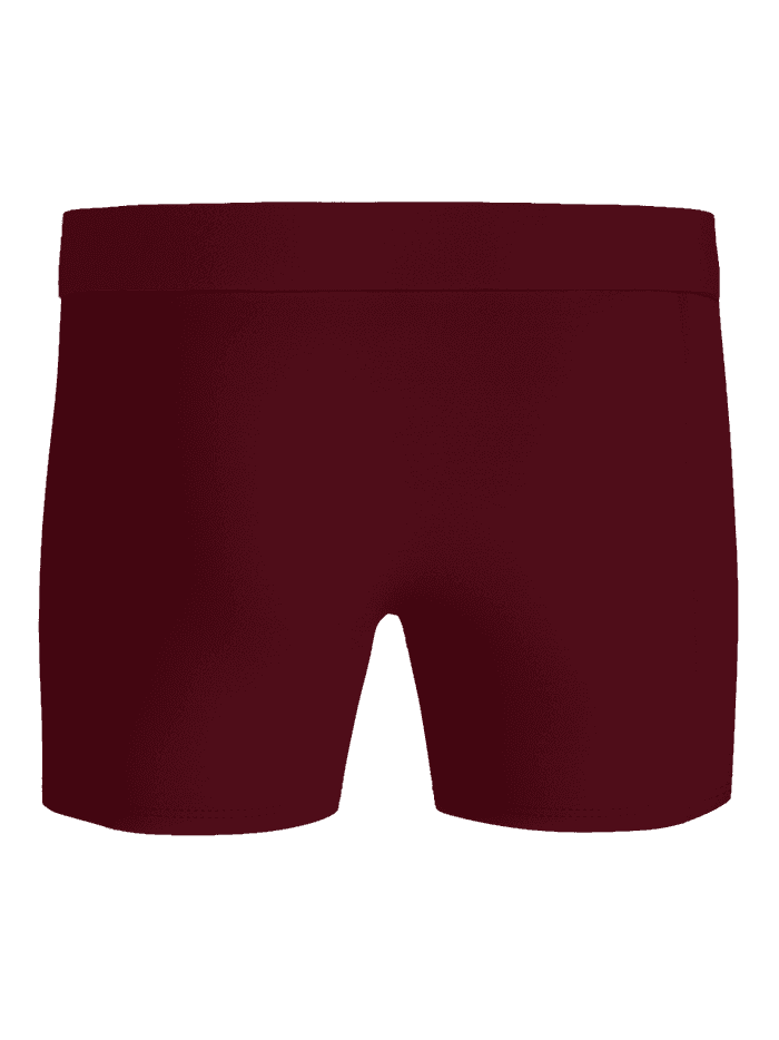 Front view of the Premium Silk Modal Boxer Briefs 2-pack in dark red, showcasing the smooth fabric and waistband.