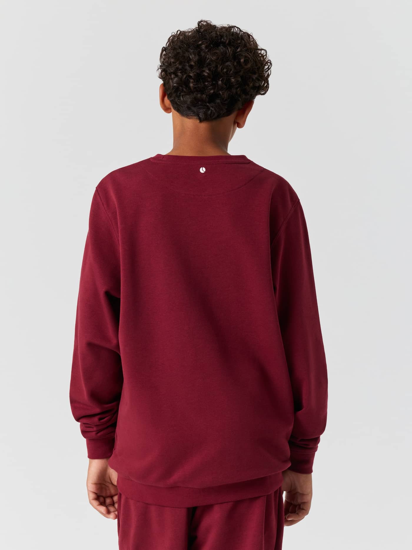 Back view of the Borg Classic Print Sweatshirt in Cabernet (Red) featuring a tennis ball print at the back neck. - Image 2