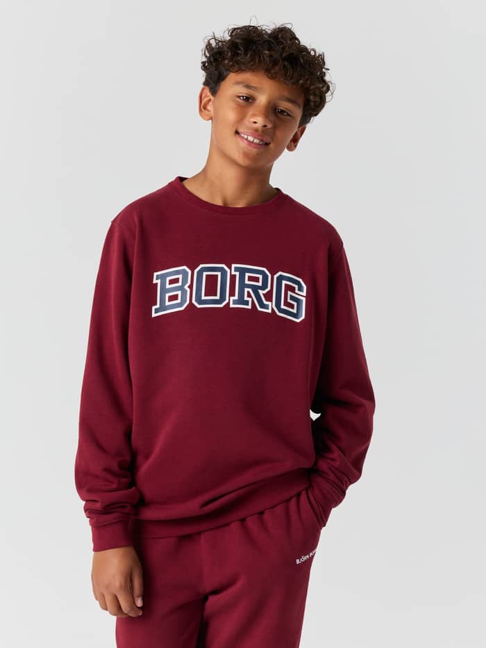 Front view of a young boy wearing the Borg Classic Print Sweatshirt in Cabernet (red).
