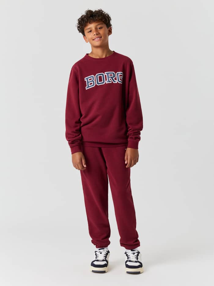 Front view of the Borg Classic Print Sweatshirt in Cabernet (Red) showcasing the crew neck and chest branding.